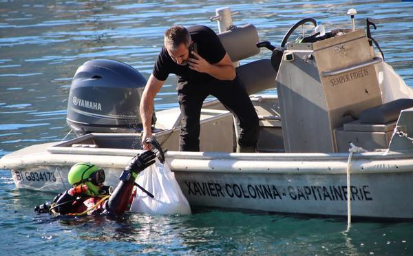 Opération de dépollution : les plongeurs des SIS 2A et 2B nettoient le port de Calvi