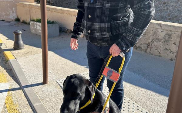 Tony et Scoobidou cherchent des bénévoles pour la nouvelle antenne corse des Chiens Guides d’Aveugles