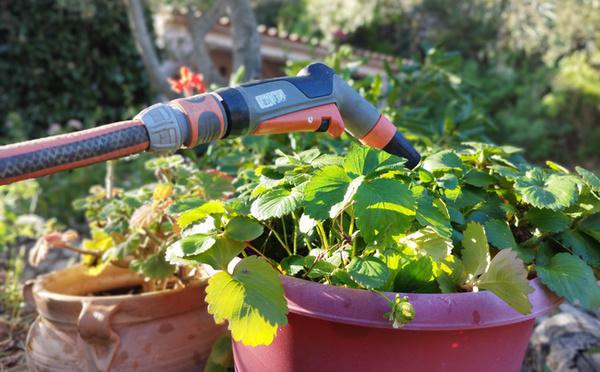 Les restrictions des usages de l'eau maintenus dans l'Extrême-sud de la Corse malgré une amélioration de la situation
