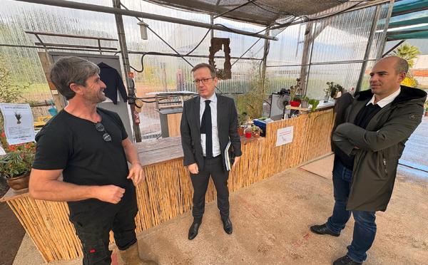 Semaine Européenne pour l’Emploi des Personnes Handicapées : le Préfet de Corse en immersion à l’ESAT "Les Jardins du Golfe"