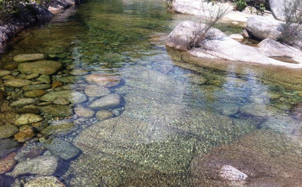 Qualité des eaux en Corse : une légère dégradation, mais faut-il s’inquiéter ?
