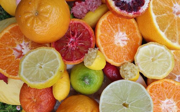 INRAE de San Ghjulianu - Préserver les variétés d’agrumes pour les générations futures