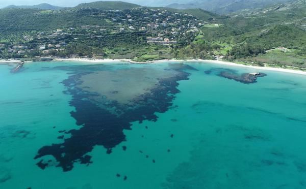 GRRInPort2 : un projet entre la Corse et l’Italie pour protéger les côtes et la biodiversité