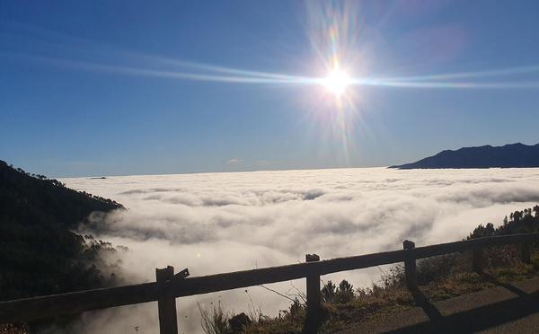 A màghjina - Sorba sopra a bianca immensità