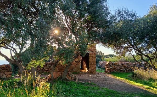 A màghjina - A Casetta nant’à u chjassu di Puntiglione