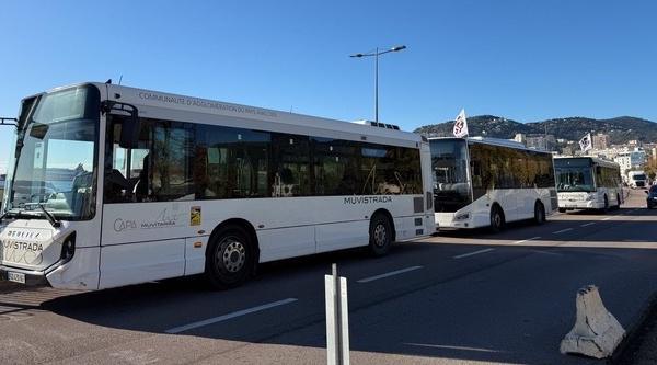 Confit des bus à Ajaccio : la CCI alerte sur un conflit qui dépasse "le seuil de soutenabilité pour le tissu commercial de la Ville"