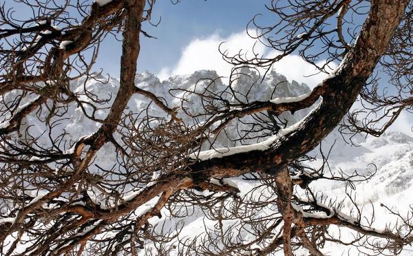 Natale trà neve è muntagne
