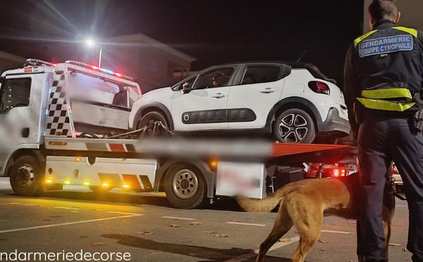 Cervioni : opération de contrôle contre les stupéfiants au volant