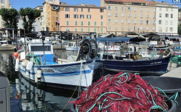 « On se bat contre des moulins à vent » : U sindicatu pà a difesa di i piscadori corsi alerte pour l’avenir de la pêche corse