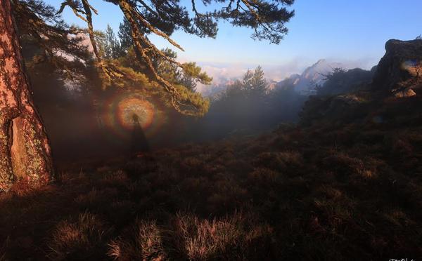 A màghjina - U spettru di Brocken in Bavella