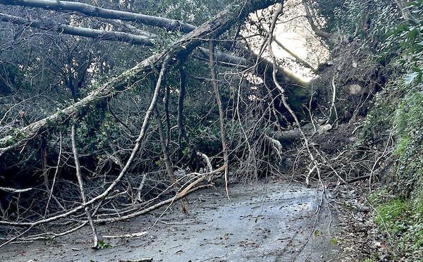 Vallée de Lota - Éboulement important entre San Martinu et Figarella