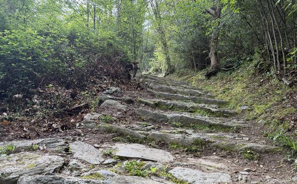 A màghjina - Una vechja ricciata in a pieve di Lota