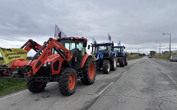 Crise agricole : les agriculteurs corses rejoignent le convoi national