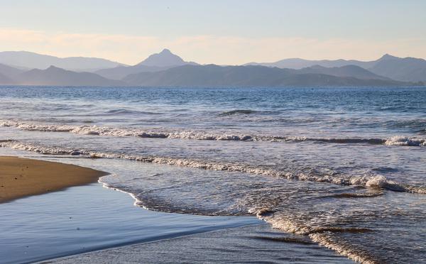 A màghjina - Ferringule d'invernu