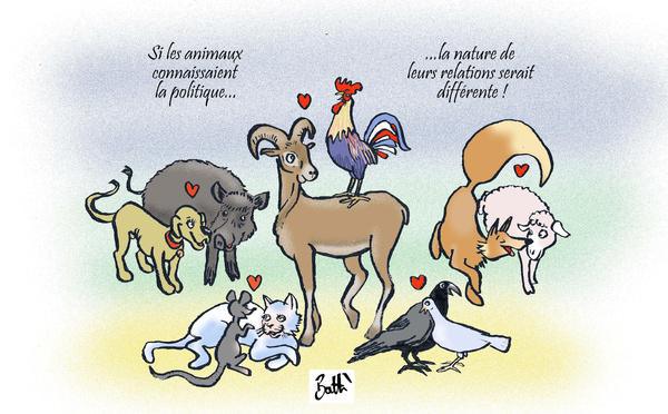 Municipales 2026 en Corse : quand la politique rend compatibles les incompatibles