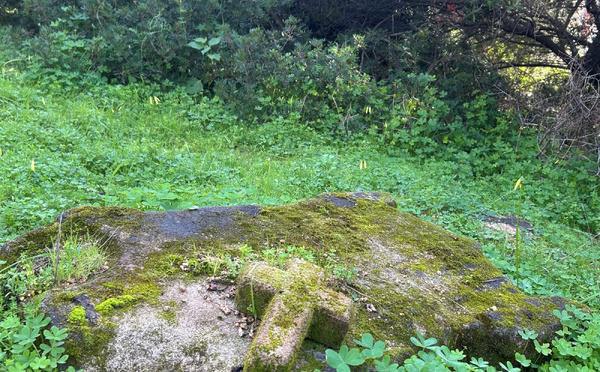 Ajaccio : Une association au chevet des 150 chapelles et sépultures de la route des Sanguinaires