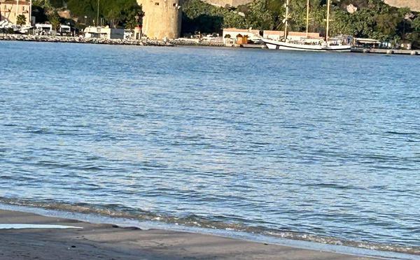 A màghjina - Calvi un solu "turistu"