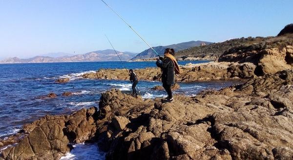 Denti, mérou, conseil maritime… la pêche corse au cœur des discussions à Ajaccio