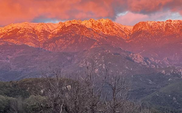 A màghjina : E cime innevate di u Fium’Orbu à l'alba