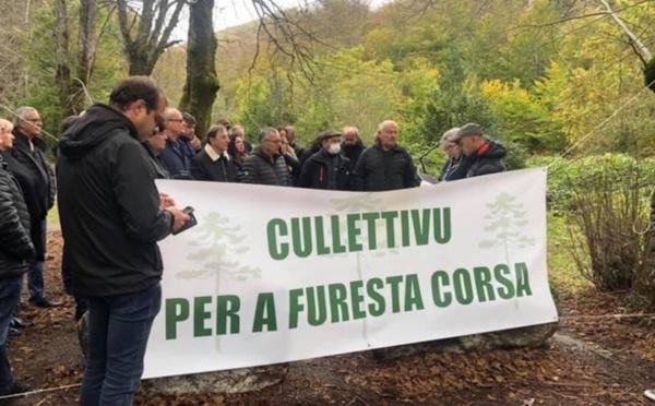 Cullettivu per a furesta corsa : chjama per à aduprà u legnu corsu in li  prughtti municipali