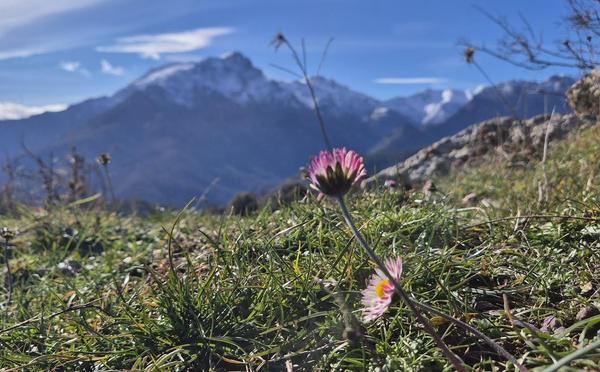 A màghjina - U veranu s’avvicina