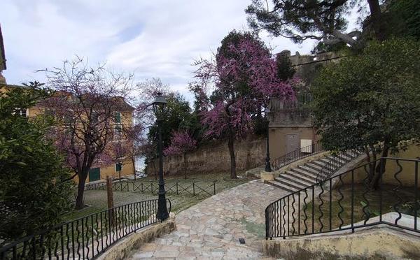 A màghjina - A ricciata di sSan Carlu Vechju in Bastia