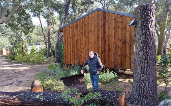  Insectes ravageurs : faut-il s’inquiéter pour le pin maritime en Corse ?