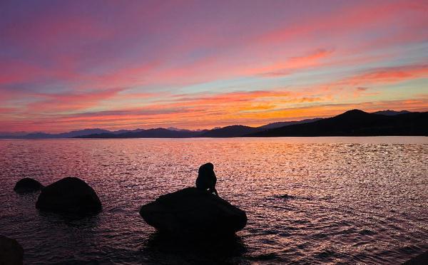 A màghjina - A donna di l’Isula aspetta l’alba nant’à u scogliu