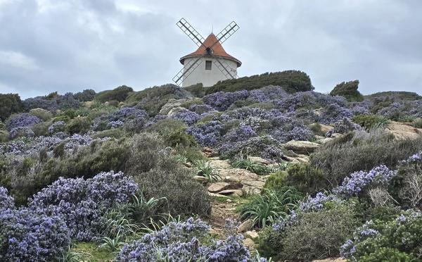 A màghjina - U Mulinu Mattei, sentinella di u Capicorsu