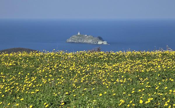 A màghjina - A Giraglia vista da Capiaghja