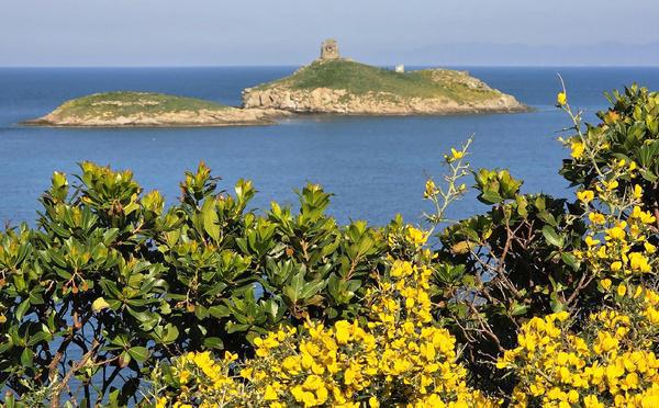 A màghjina - E Finuchjarole, gioiellu salvaticu di Capicorsu