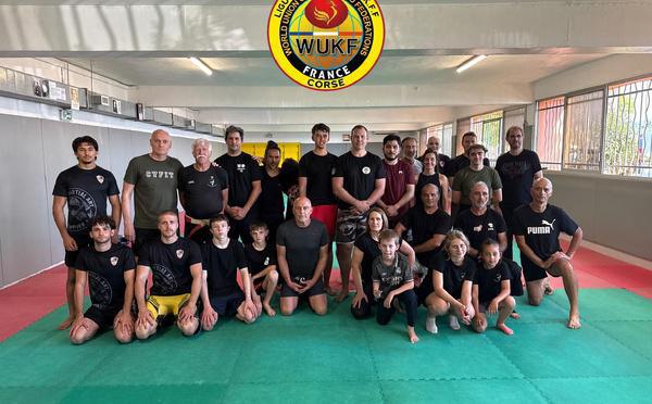 Ajaccio - Succès pour le stage pluridisciplinaire de sports de combat en Corse