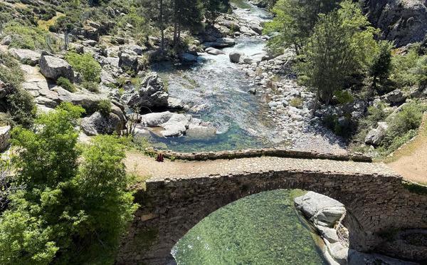 A màghjina - Magnificu Niolu