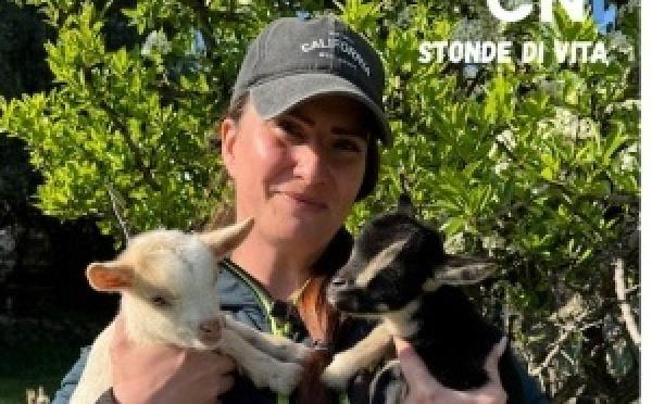 Stonde di vita avec…  Valentine biancardini éleveuse de chèvres miniatures