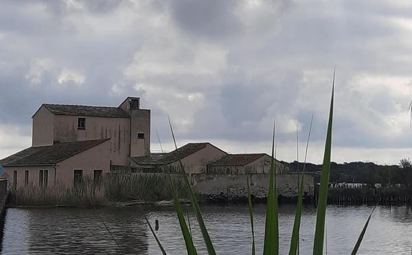 U tempu in Corsica