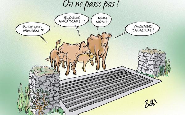 Le dessin de Battì : on ne passse pas !