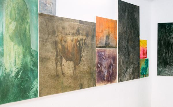 À la Citadelle d’Ajaccio, Alfons Alt sublime la Corse dans l’exposition Altotipi Corsi