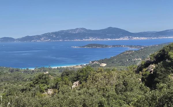 U tempu in Corsica
