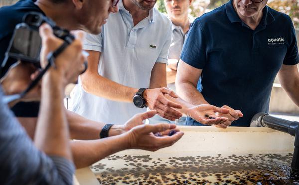 Stella Mare exporte son savoir-faire : une délégation maltaise vient voir ses oursins "made in Corse"