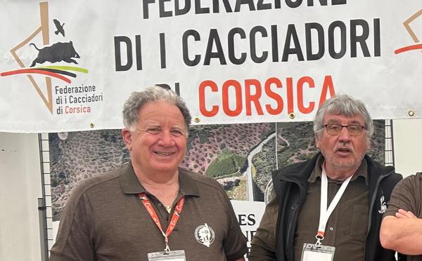 Projet de parc éolien dans le Cap Corse : inquiétude de la Fédération Régionale des Chasseurs