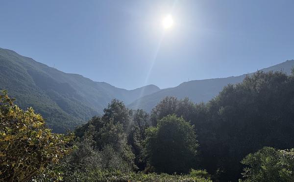 U tempu in Corsica