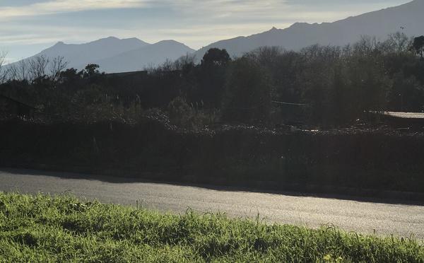 U tempu in Corsica