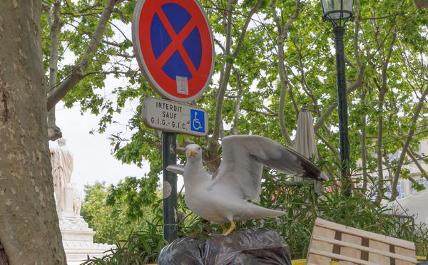 A màghjina - Bastia : interdettu... micca per tutti