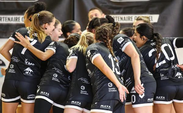 Handball. Stéphane Acquaviva, le Président du Handball Ajaccio Club fixe le cap vers la N1