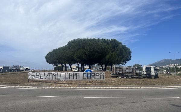 « Nous avons touché le fond » : les apiculteurs corses alertent sur une crise historique et réclament un plan de sauvetage