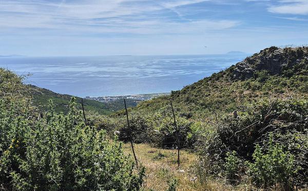 U tempu in Corsica