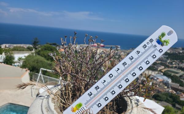 Canicule à Bastia : pas de fermeture des écoles, mais un accueil aménagé mis en place