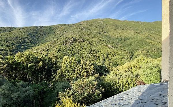 U tempu in Corsica