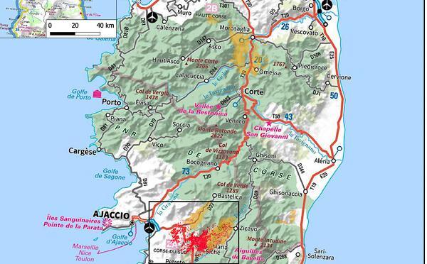 Bombyx disparate : la défoliation recule fortement en Corse, mais la vigilance reste de mise