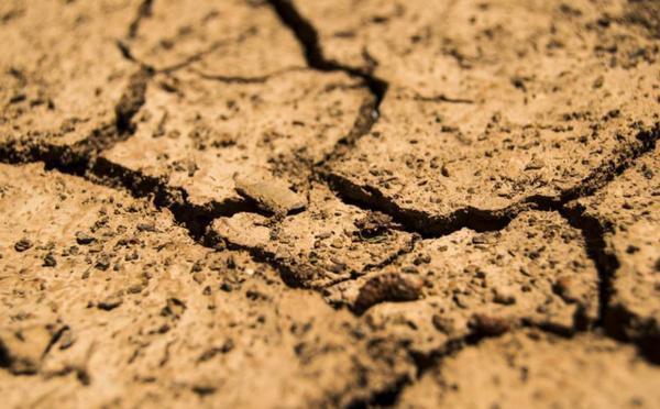 La Corse-du-Sud bascule en alerte sécheresse